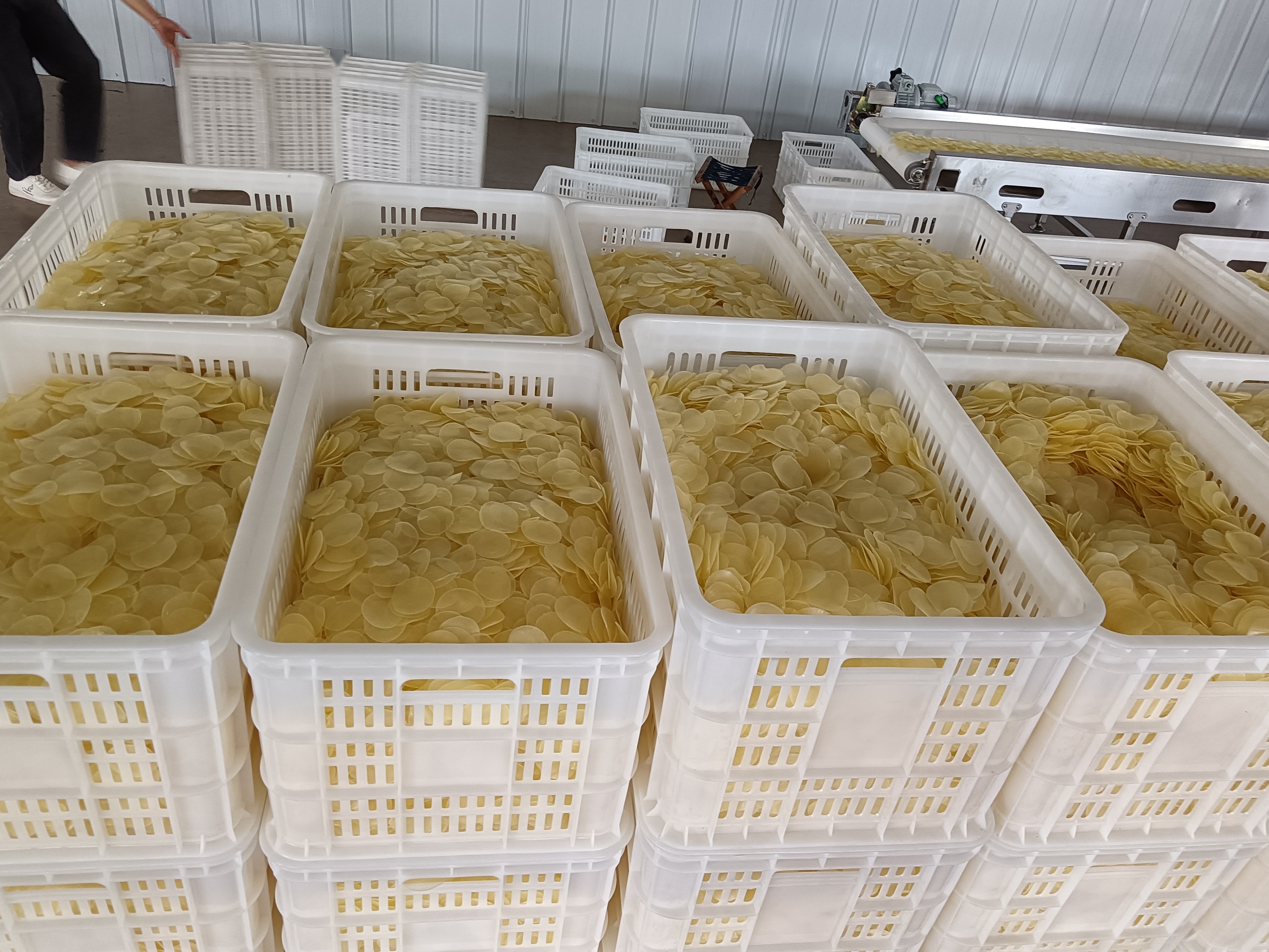 Usine de transformation de ligne de production de craquelins de crevettes